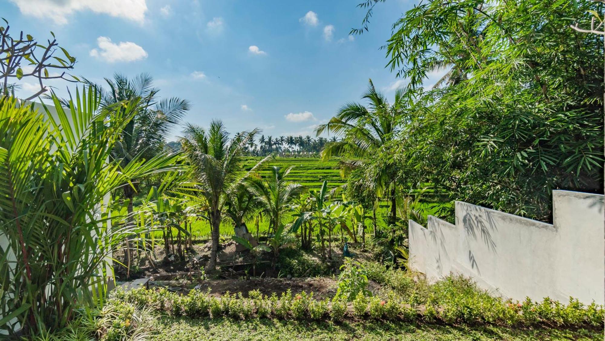 Padi Luwih Villa Ubud  Luaran gambar